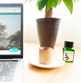 ローズゼラニウム(Rose Geranium)